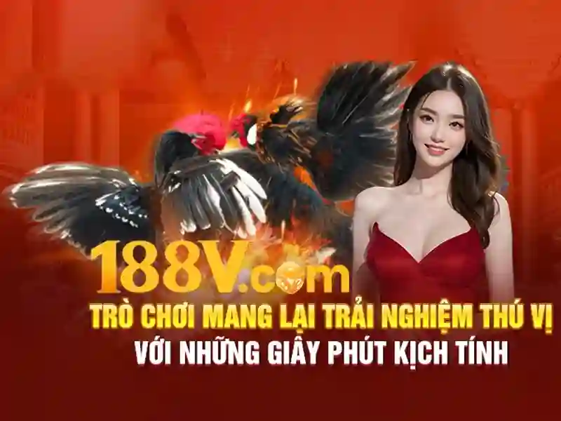188v bet - Trải nghiệm và Đánh giá nền tảng cá cược