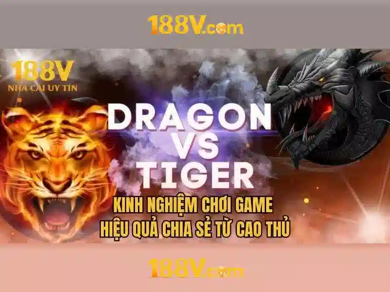 188v: hành trình giữa dữ liệu và sáng tạo