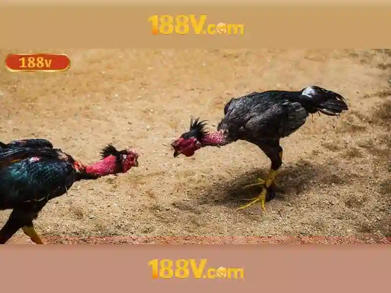 An toàn và thách thức