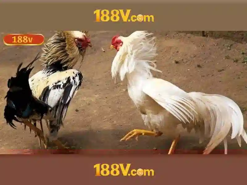 Ứng dụng trong nghệ thuật và công nghệ