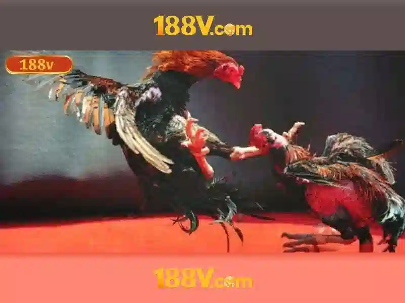 hướng dẫn 188v – tương lai và tầm nhìn