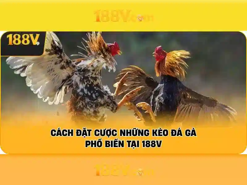 Kiến thức an toàn và hướng dẫn thực tiễn