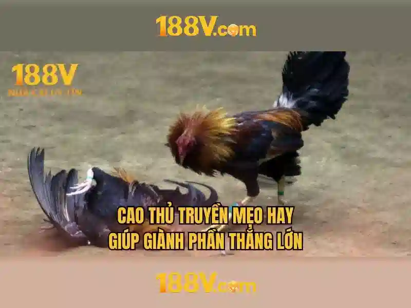 188v và hành trình của một khái niệm