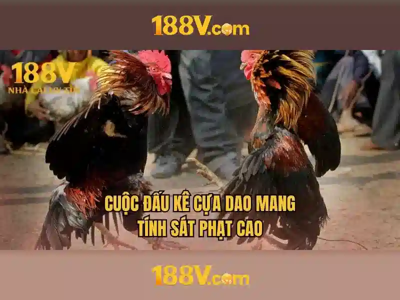 Khám phá 188V: một khái niệm và ứng dụng đặc biệt