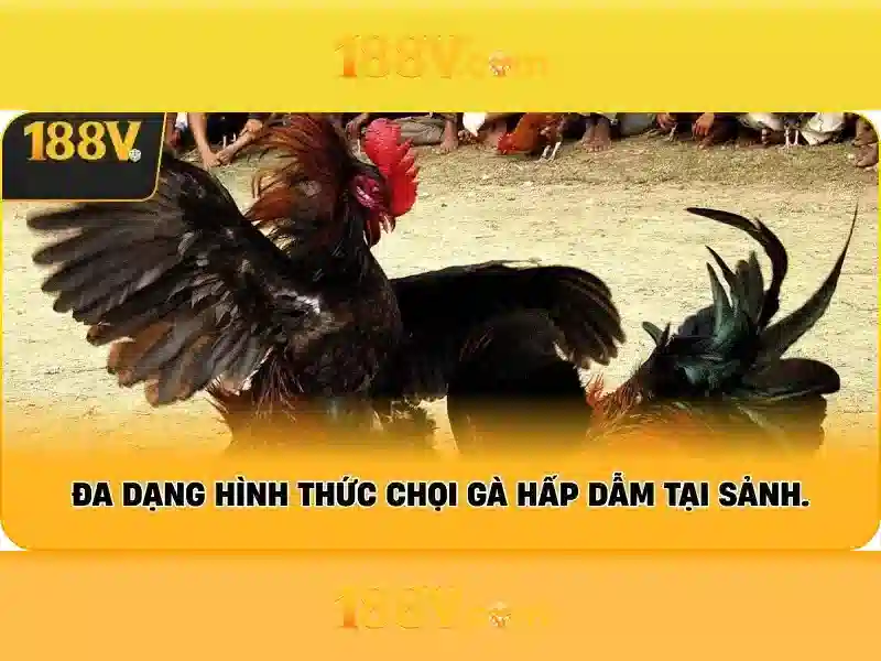 Những ẩn số và kỳ vọng
