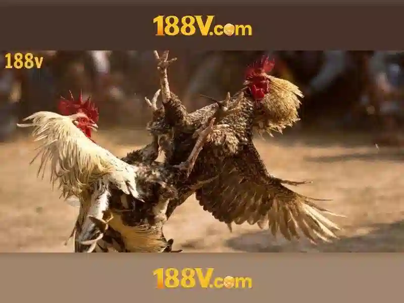 Thuật toán xử lý rút tiền 188v 