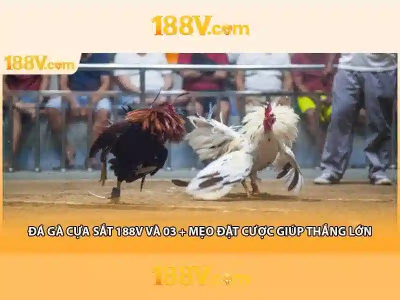 188v..com – Câu chuyện thương hiệu và trải nghiệm người dùng