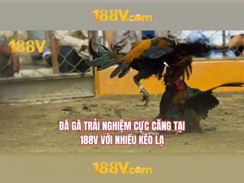 Nguồn gốc từ ngữ và sứ mệnh