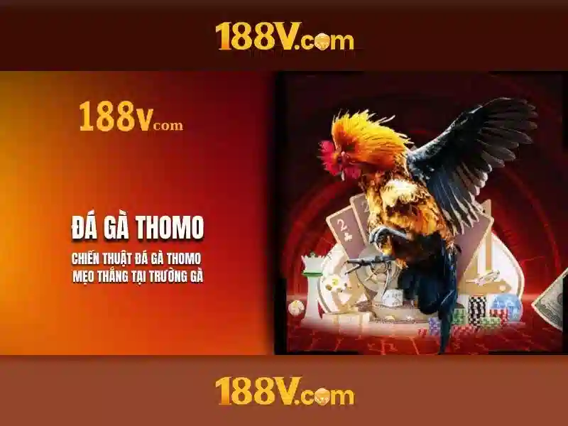 188v app - Trải nghiệm và đánh giá toàn diện