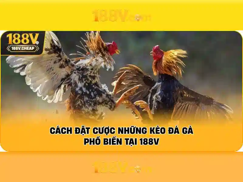 188v: một khái niệm số và công nghệ trong thế giới số