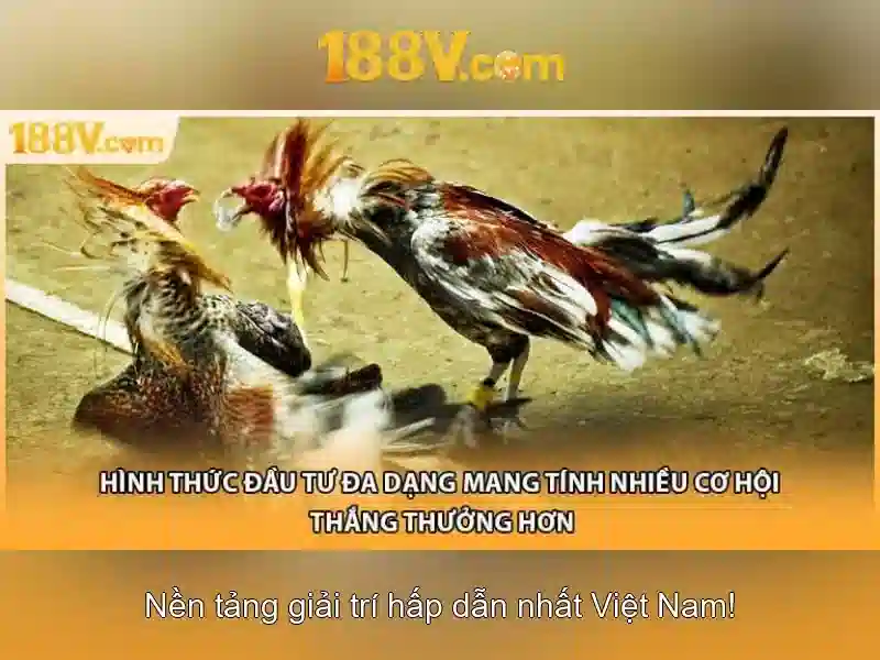 An toàn khi làm việc với 188V