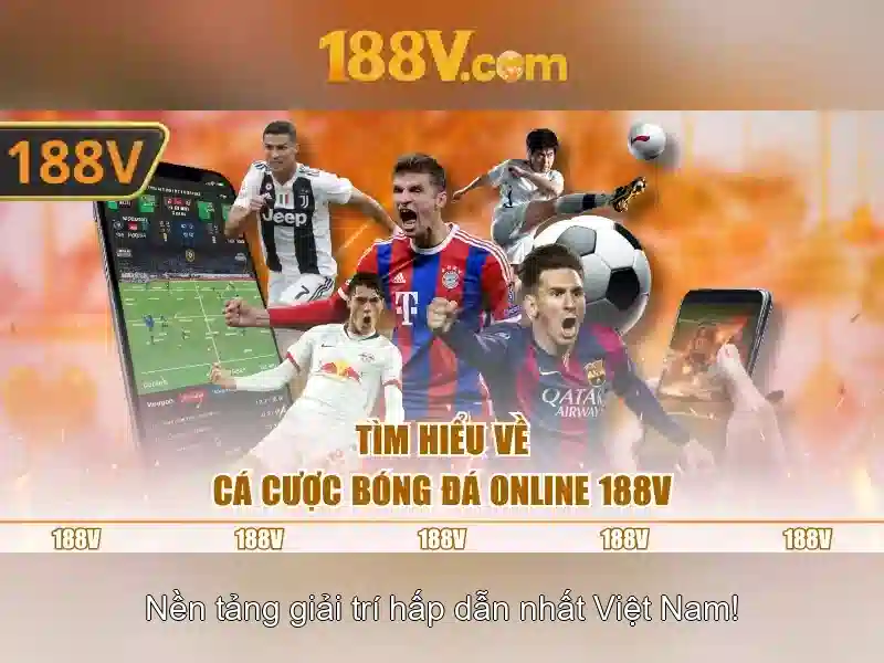 Trải nghiệm người dùng và phản hồi cộng đồng