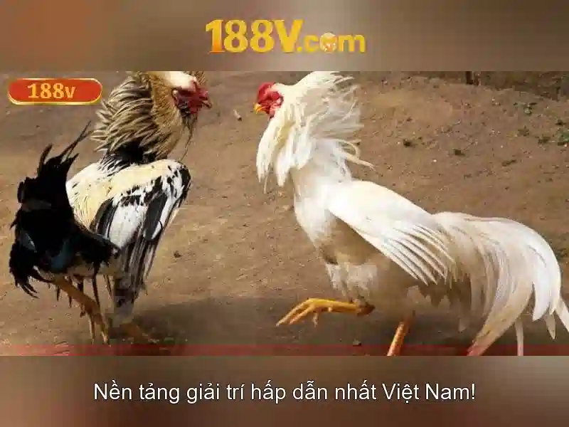 188V: Tổng quan về điện áp 188 volt và ảnh hưởng của nó
