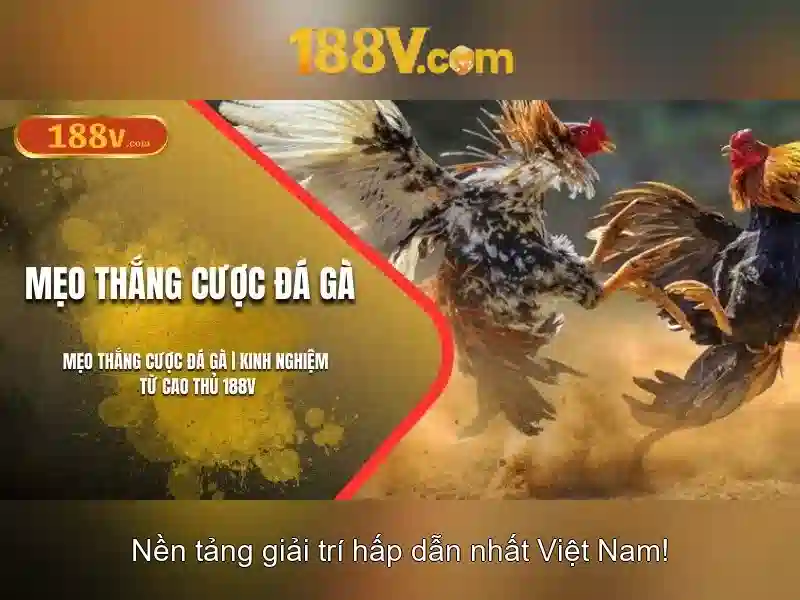 Khám phá 188V: Hiểu về điện áp và ứng dụng