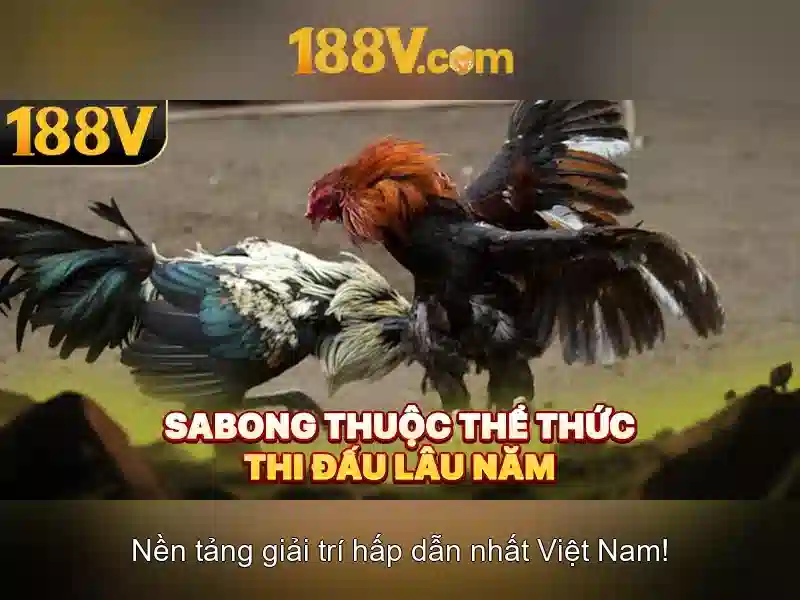 188v: khái niệm và hành trình của một xu hướng sáng tạo