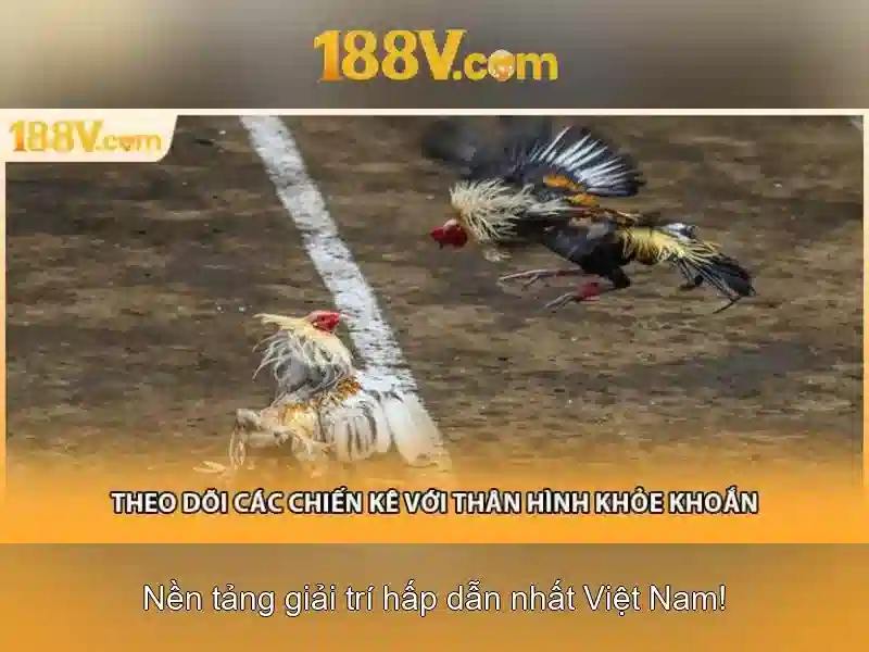 188v: một con số và câu chuyện của nó