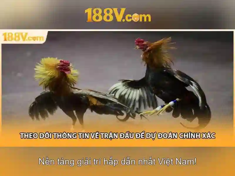 Nguồn gốc và ý nghĩa của con số 188v