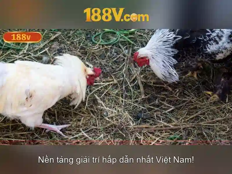 Khái niệm 188v và những ý nghĩa
