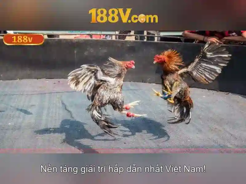 Khám phá 188v: một khái niệm mới