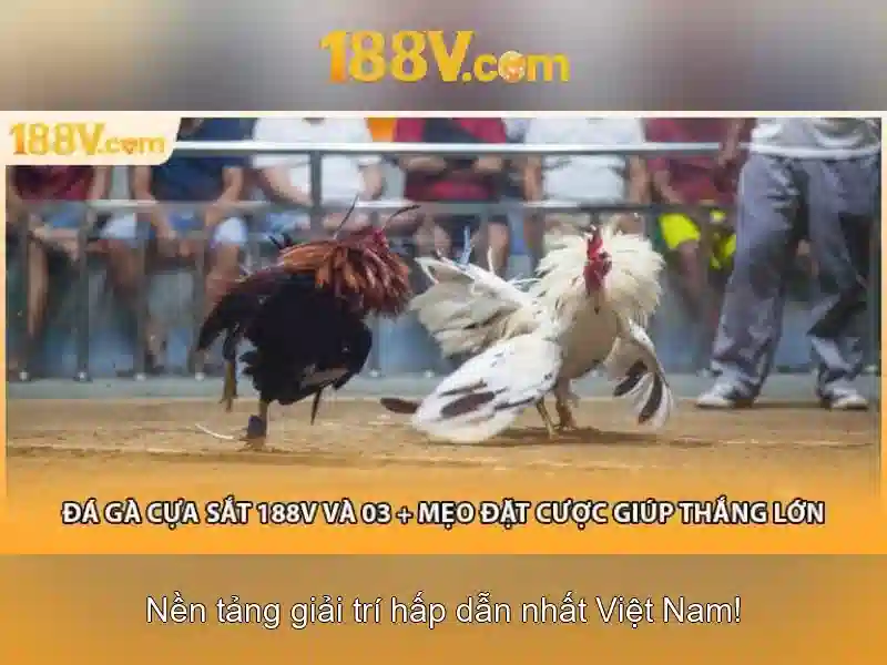 188v và hành trình của một ký hiệu số